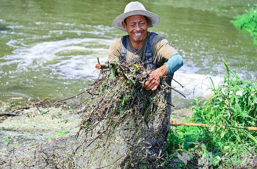 武漢市新洲區：漲渡湖清漂 護航水上森林“顏值”