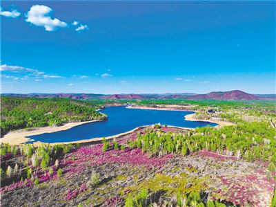 走进毕拉河 共赴一场杜鹃花海之约