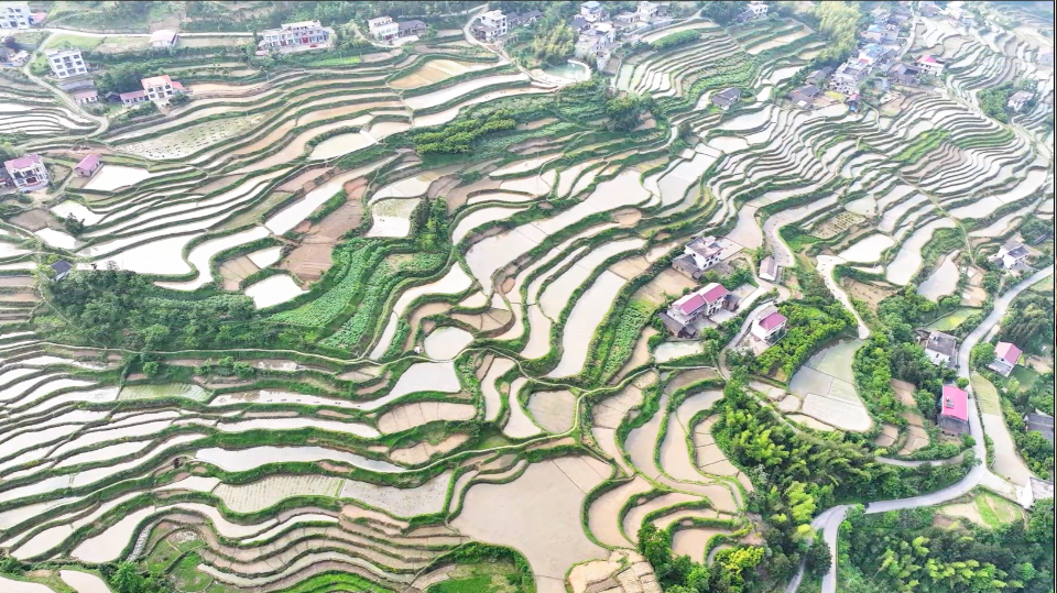 湖南新寧：生態和美 梯田如畫_fororder_圖片6