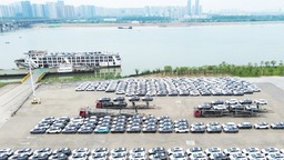 逐浪国际市场 840辆汽车从长沙乘船闯中东