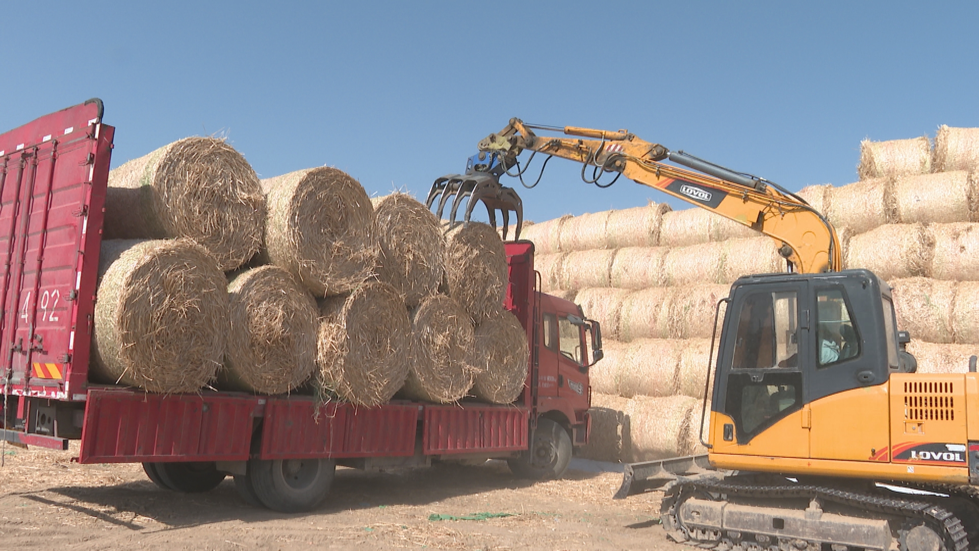 河北清苑：秸秆变“废”为宝 助推农业生产绿色发展_fororder_清苑区阳城镇某回收仓储点对回收秸秆进行卸车。高源 摄