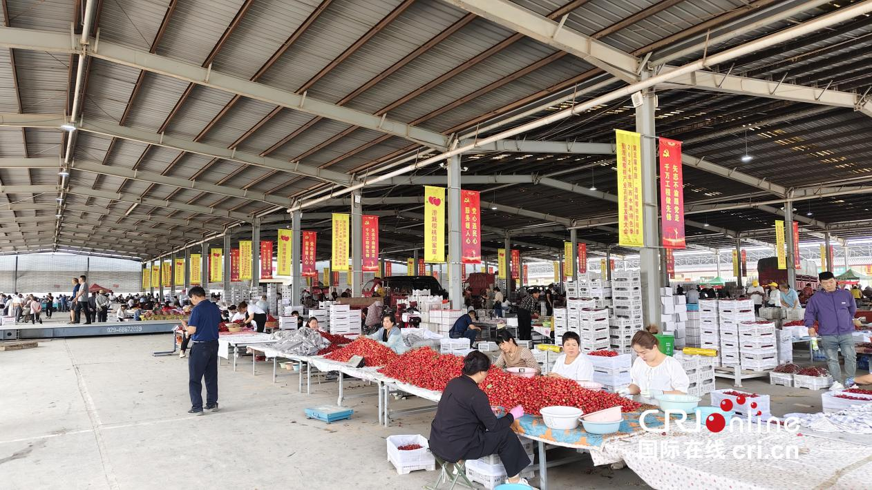 多方聚力 助推澄城櫻桃産業發展_fororder_圖片4