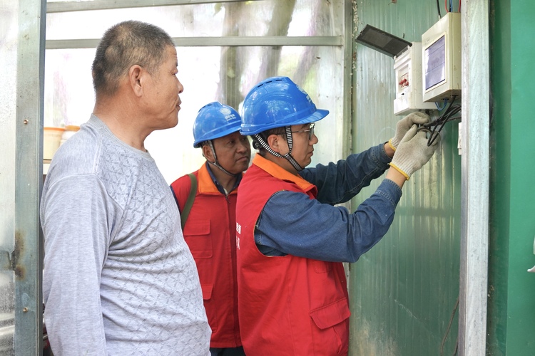 国网西安市长安区供电公司：产业发展电力足 服务果农“双满意”_fororder_微信图片_20240522161924