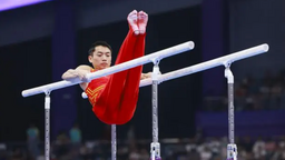 中國體操隊確定奧運備戰大名單