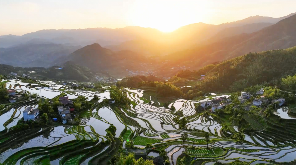 湖南新寧：生態和美 梯田如畫_fororder_圖片1