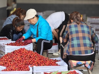 A Sweet Date with China: Deliciously Rich and Incredibly Sweet! A Sweet Delight from Chengcheng, Shaanxi!_fororder_微信图片_20240522115604