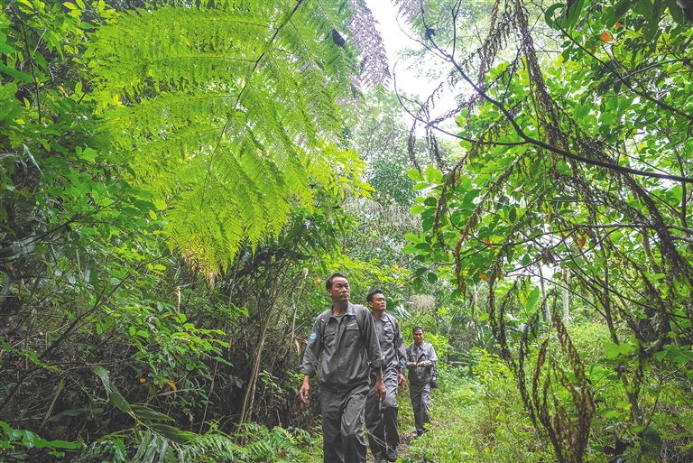 海南：護好一片 生機勃勃_fororder_6875921_hnrbtp1_1716394037739_s