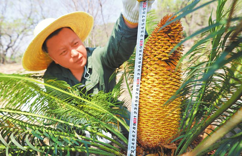 （转载）四川生物多样性“家底”丰厚_fororder_a966df2a7f441d766fcffbf1e528191a