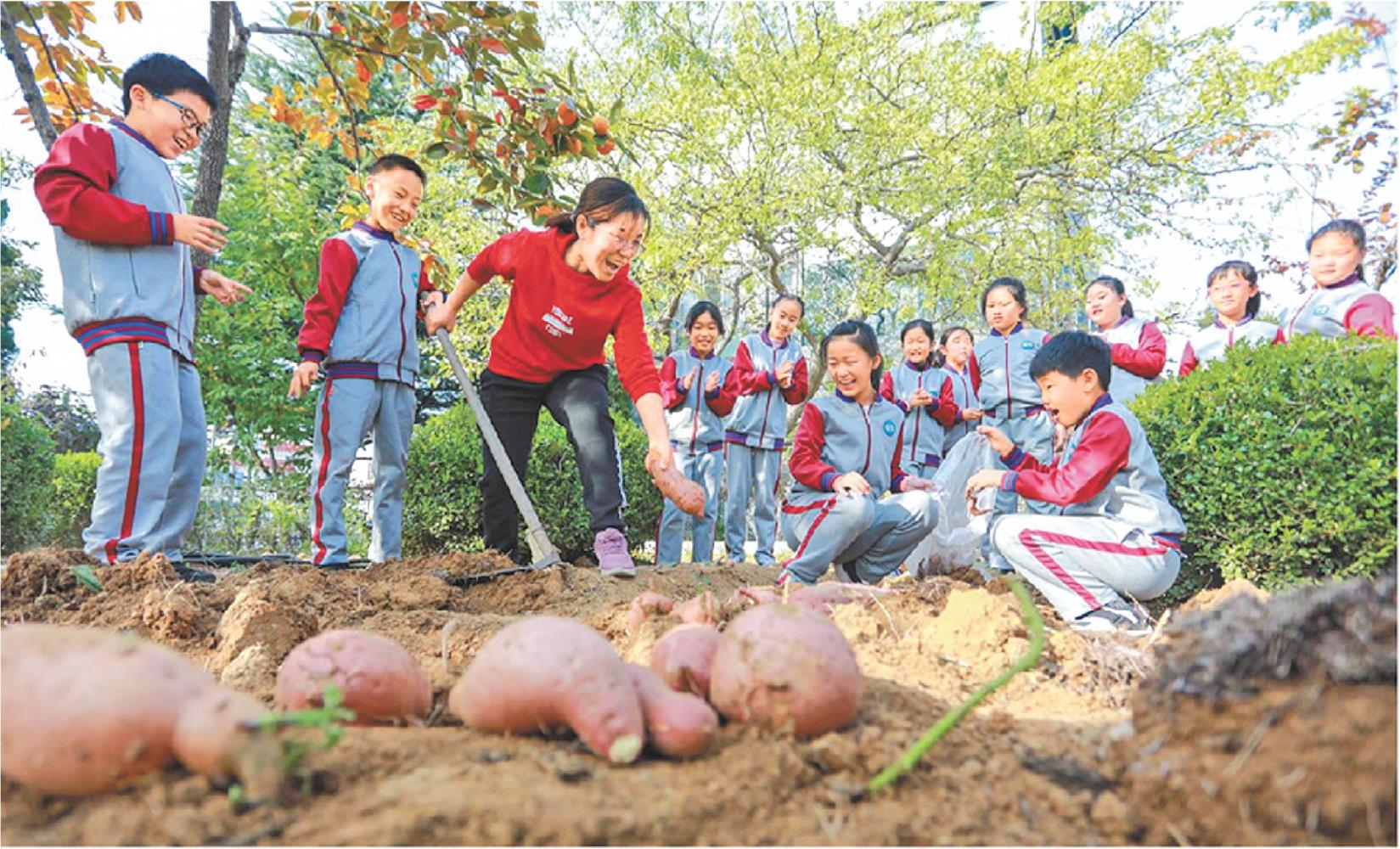 威海义务教育优质均衡发展实现满堂红