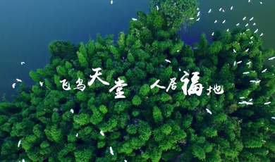 Amazing Sichuan | "Birdwatching Sanctuary" — Qionglai_fororder_QQ截圖20240515160633
