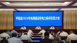 浙江温州：平阳县2024年电网建设和电力保供攻坚大会举行