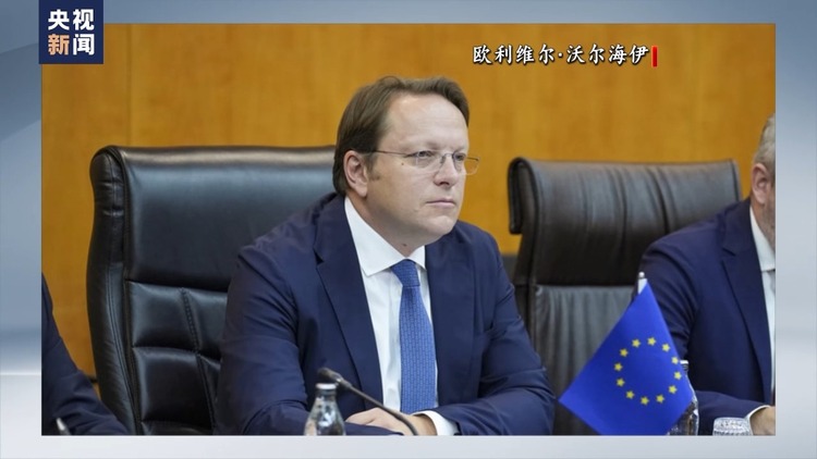 格魯吉亞總理稱歐盟官員對其進行威脅 歐盟官員稱被斷章取義