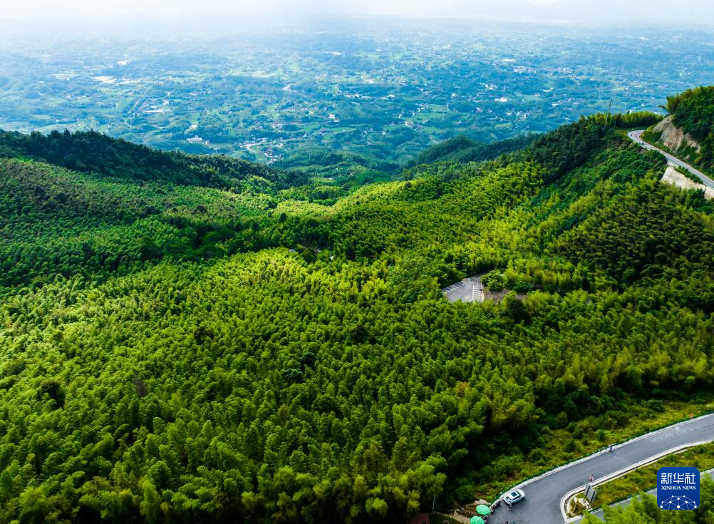 重庆：茶山竹海风光旖旎