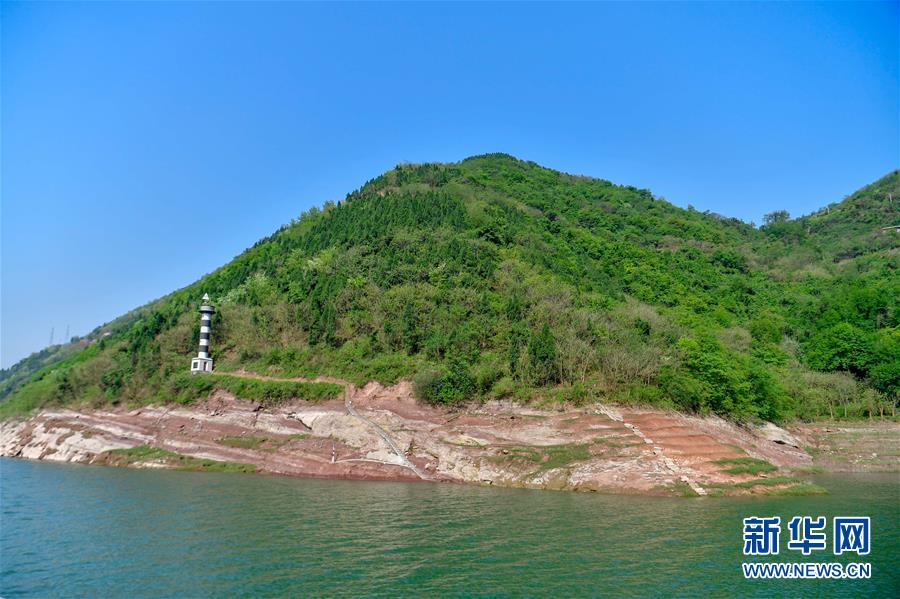 重庆长江岸线生态复绿初见成效
