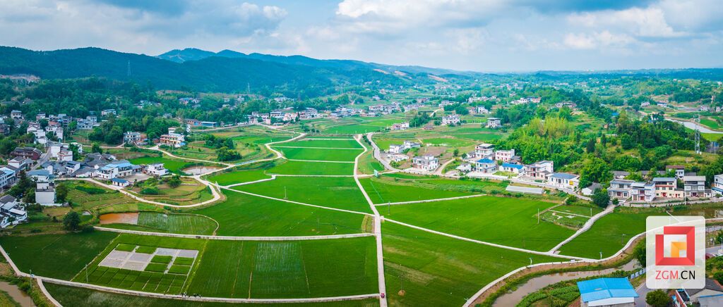 （转载）【光影视界】自贡富顺：水稻进入拔节期