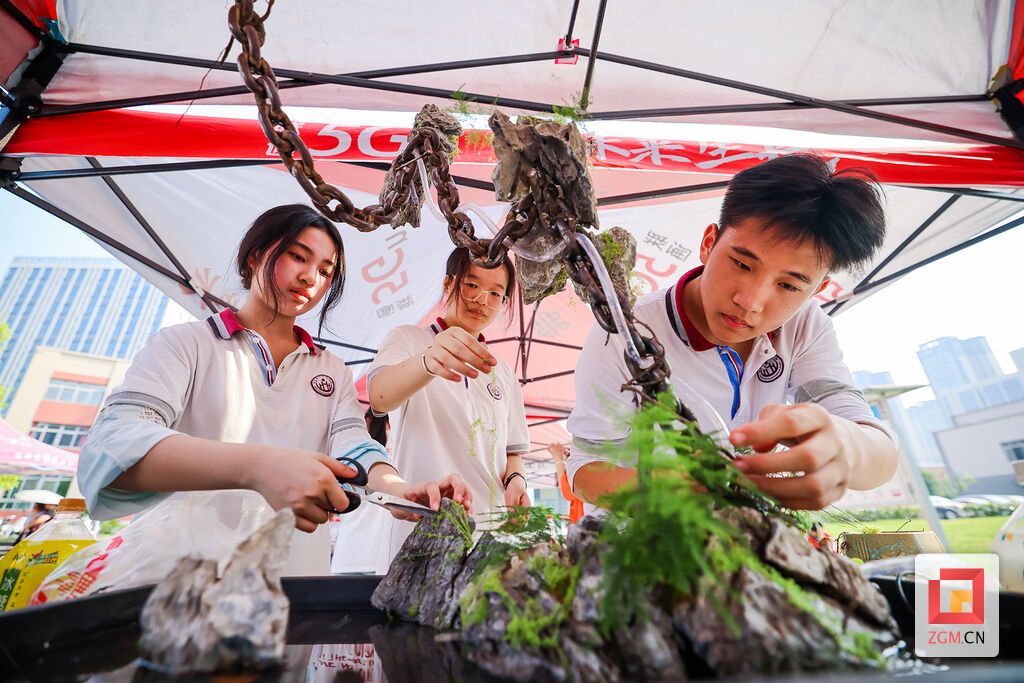 （转载）自贡富顺县举行首届中小学劳动教育成果展示暨劳动技能大赛
