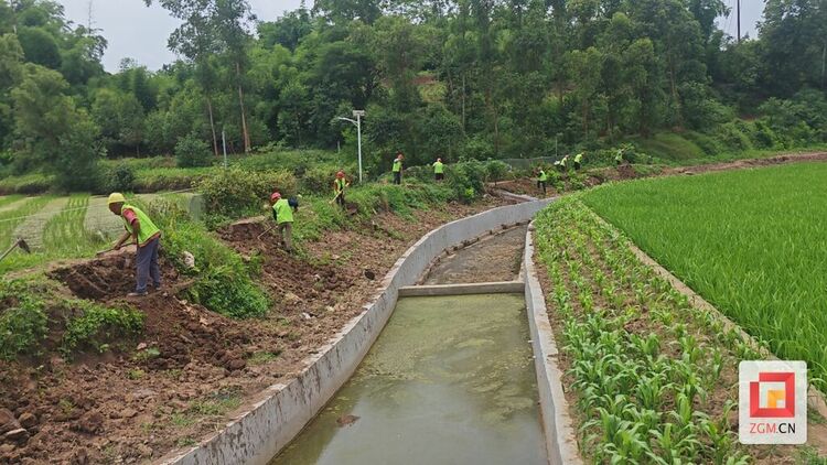 （转载）沿滩区：更好发挥“赈”的作用 让村民就业增收“富起来”