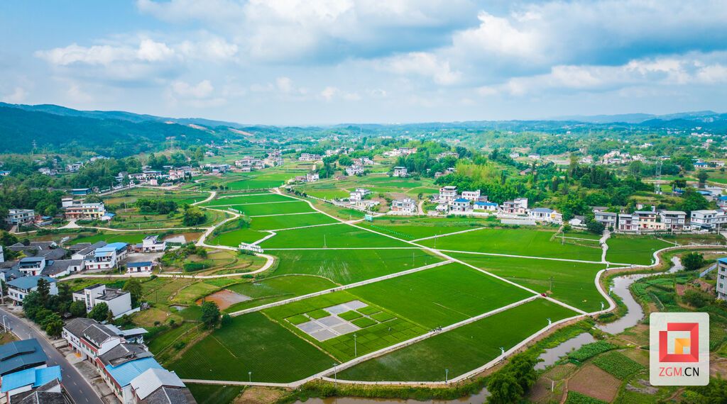 （转载）【光影视界】自贡富顺：水稻进入拔节期