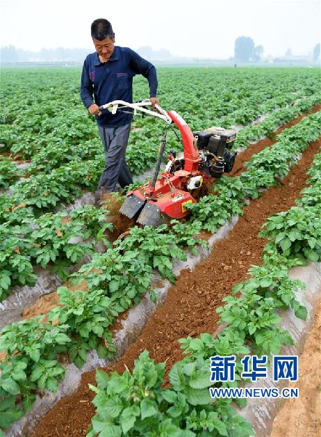 山东：劳动节 劳动忙