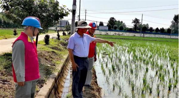 武漢江夏供電： 將監督挺在群眾夏糧豐收保供電前沿_fororder_微信圖片_20240527144944