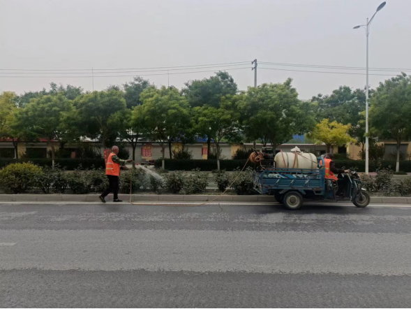 保定唐县:小飞虫“扰民” 12345热线来“防治”_fororder_唐县:小飞虫“扰民” 12345热线来防治(3)558