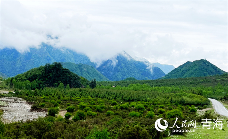 青海：雨后群加景如畫(huà)