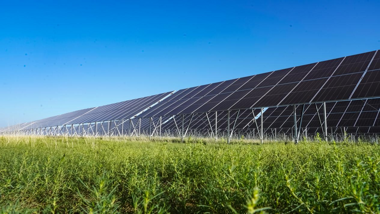 鄂爾多斯鄂托克前旗:滿弓發力強時間 奮力衝刺“全年紅”_fororder_鄂托克前旗1