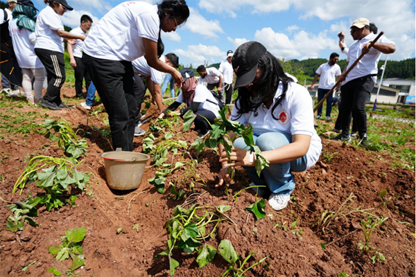 西华师范大学留学生走进田间地头 感受“乡土中国”_fororder_未标题-3