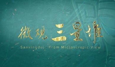 Amazing Sichuan | Sanxingdui—From a Microscopic View (Episode 1)_fororder_QQ截圖20240510171927