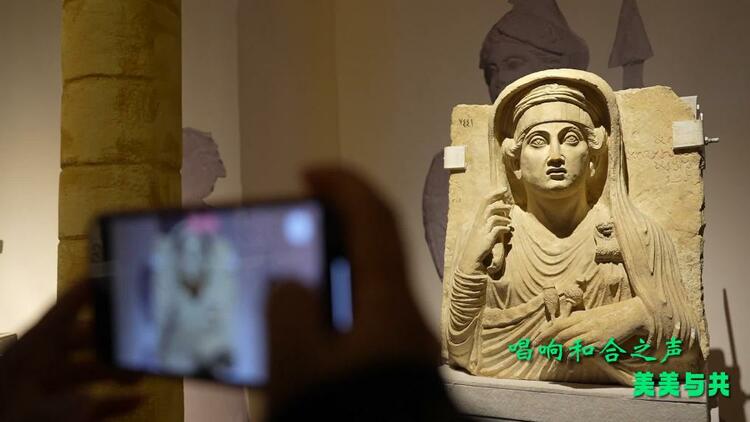 微视频｜中阿合作开启新篇章