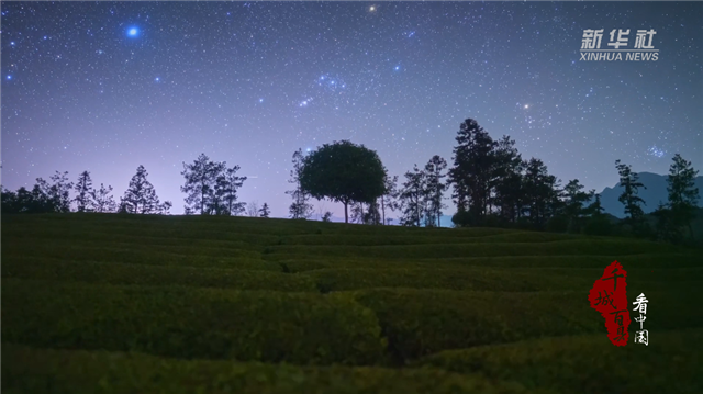 湖北鶴峰：木耳山茶園星空入選全國“天氣氣候景觀觀賞地”_fororder_微信圖片_20240531093855