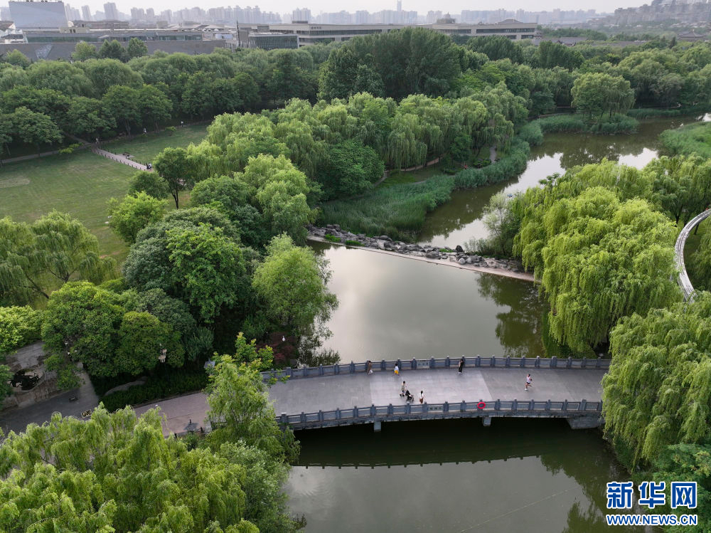 新华社记者 邵瑞 摄西安曲江池遗址公园(无人机照片,2021年8月17日摄)