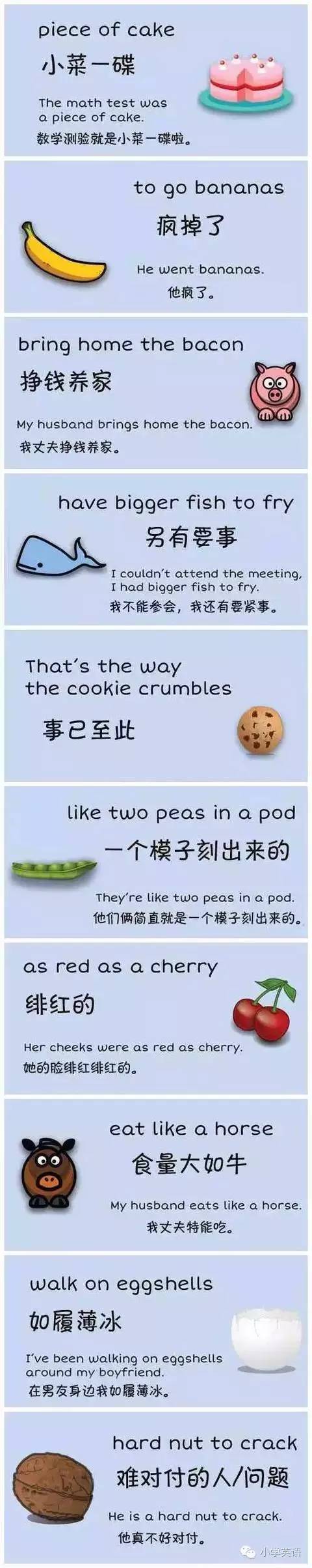 超有意思的英语常用谚语+配图，小学生应该知道