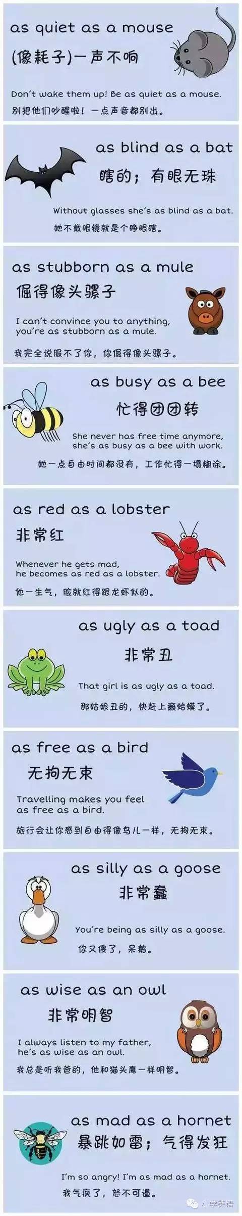 超有意思的英语常用谚语+配图，小学生应该知道