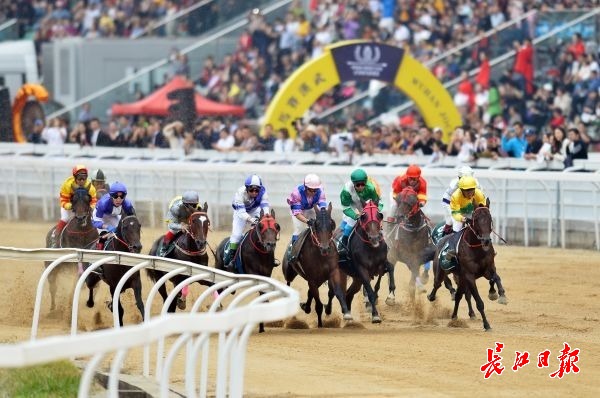 【城市遠洋圖片】第十七屆中國·武漢國際賽馬節落幕