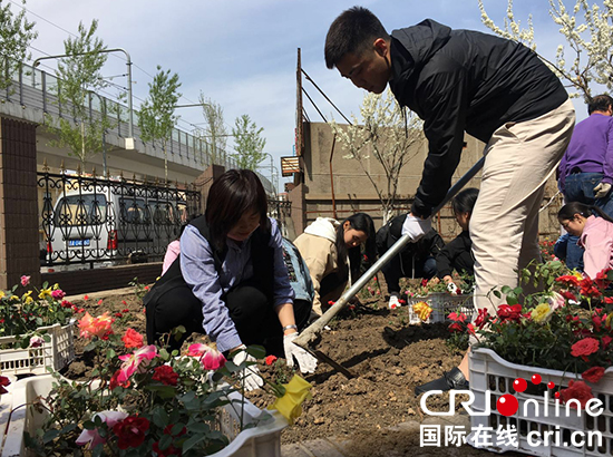 05【吉林】【原創】【CRI看吉林（標題）】【社會民生（標題）】【關東黑土（長春）】【移動版（列表）】長春志願者為老年公寓栽種綠植