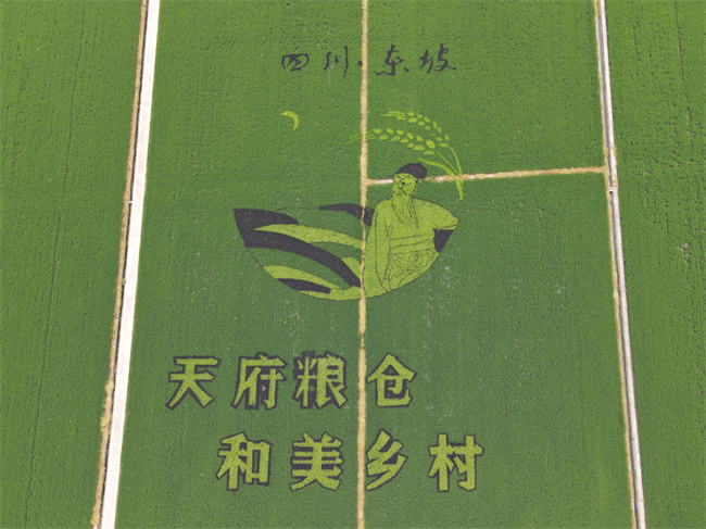 （转载）新质生产力领航现代智慧农业好“丰”光