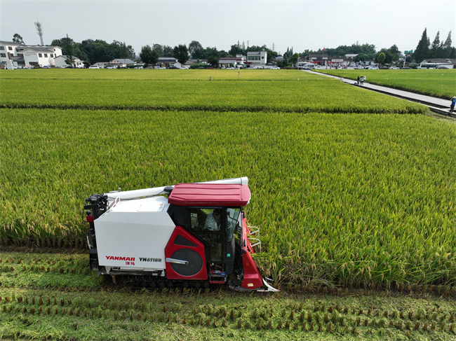 （转载）新质生产力领航现代智慧农业好“丰”光