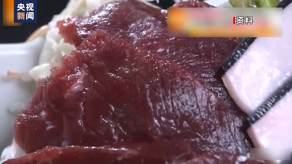 计划新增猎捕对象、新船首航 日本一意孤行商业捕鲸路