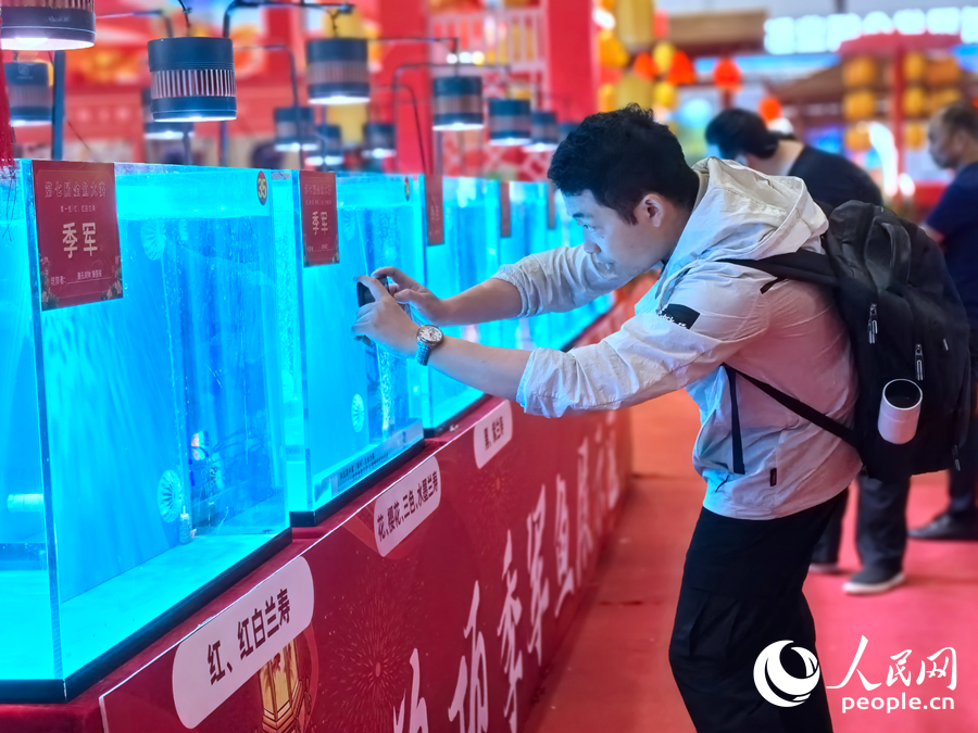 福州国际渔博会：海鲜“聚会”  金鱼“比美”