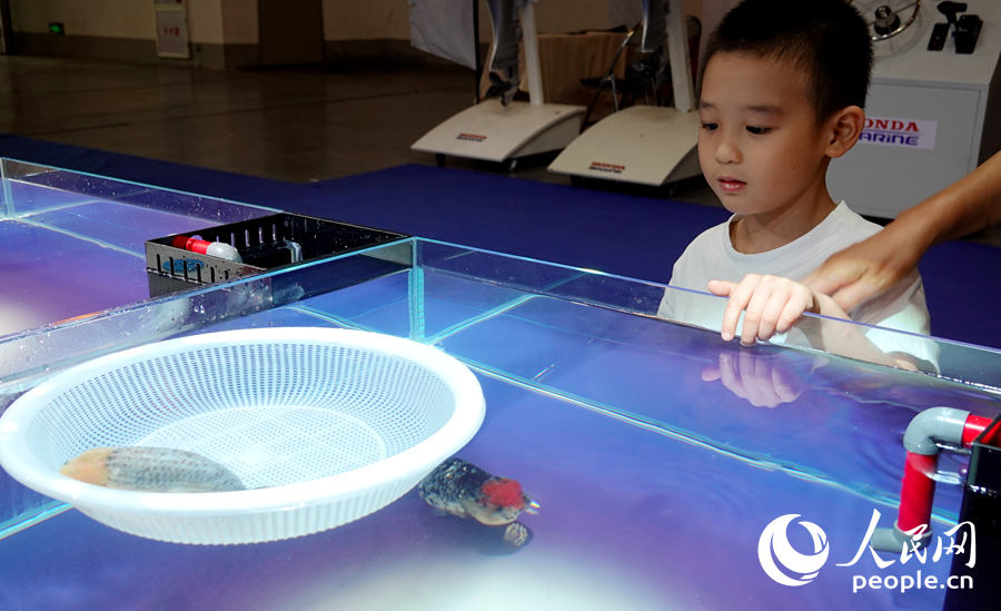 福州国际渔博会：海鲜“聚会”  金鱼“比美”