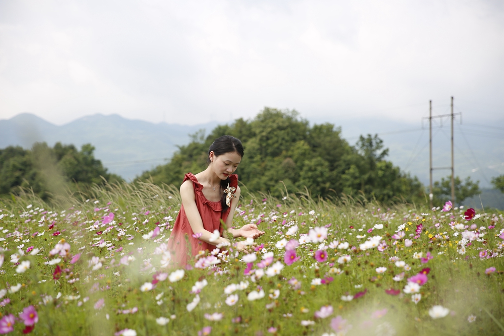 六盘水市钟山区双戛乡绚丽花海引客来_fororder_微信图片_20240702114436