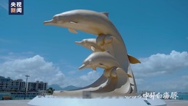 《中華白海豚》在港澳反響熱烈 展現生態保護與生物多樣性之美