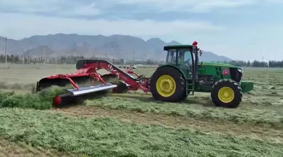 呼和浩特的“草”不一般！_fororder_微信圖片_20240702160118