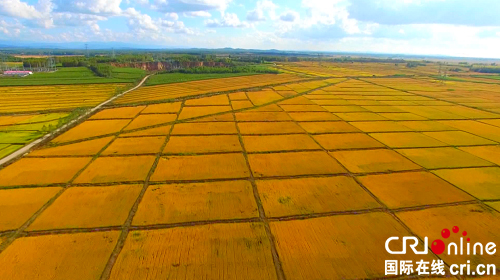 【黑龙江】【供稿】哈尔滨市方正全力打造中国有机富硒水稻基地县