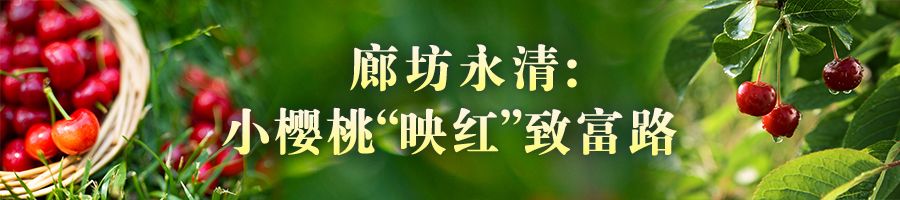 河北：瓜果飘香产业兴 乡村振兴奔头足