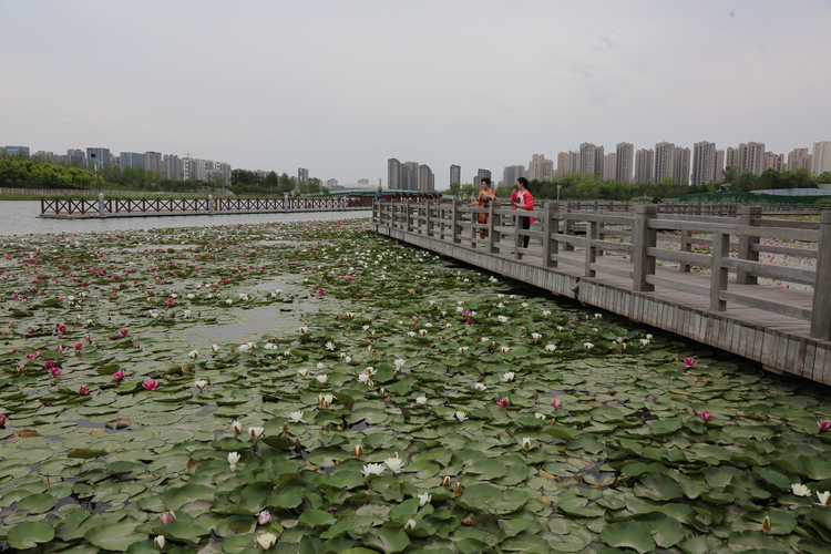 图片默认标题_fororder_微信图片_20240603092649