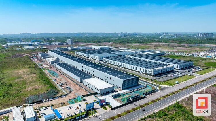 向"新"而行 以"质"致远——自贡高新区加快培育新质生产力观察