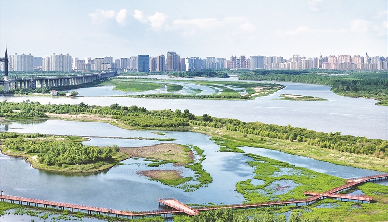 醉龙江|夏日冰城江景如画