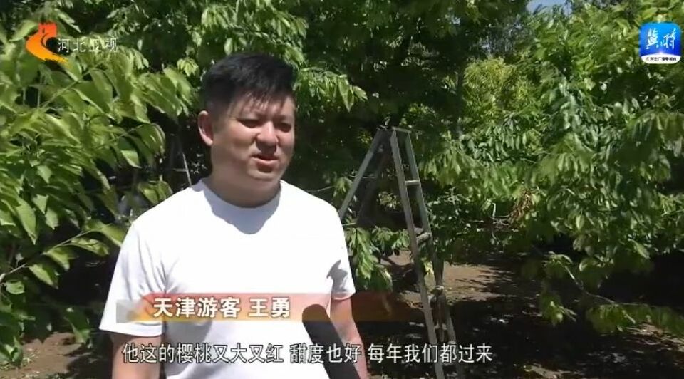 河北：瓜果飘香产业兴 乡村振兴奔头足